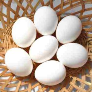 Eggs